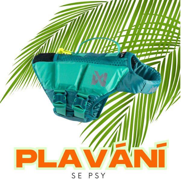 PLAVANI